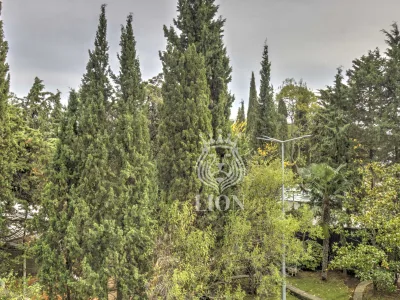 3-к апартаменты 170 м² 2/7 эт., Парковая — миниатюра 44