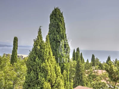 Коммерческая 550 м², Алушта — миниатюра 123