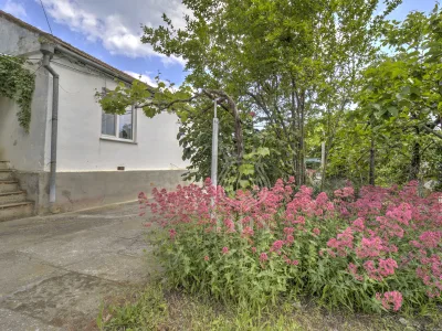 Дом 45.4 м² на 6 сот., Рыбачье — миниатюра 46